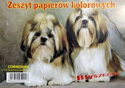 ZESZYT papierów KOLOROWYCH A5 cormoran KOLOR błysk