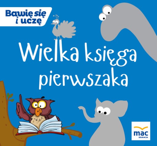 Wielka Księga Pierwszaka Bawię Się I Uczę MAC