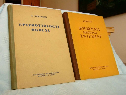 PARNAS STRYSZAK EPIZOOTIOLOGIA SCHORZENIA bdb- x 2