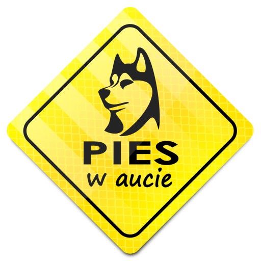 CHROŃ PUPILA MOCNY MAGNES PIES W AUCIE ODBLASK