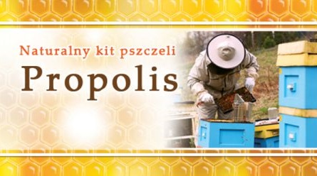 ETYKIETY małe mini Propolis 100 szt