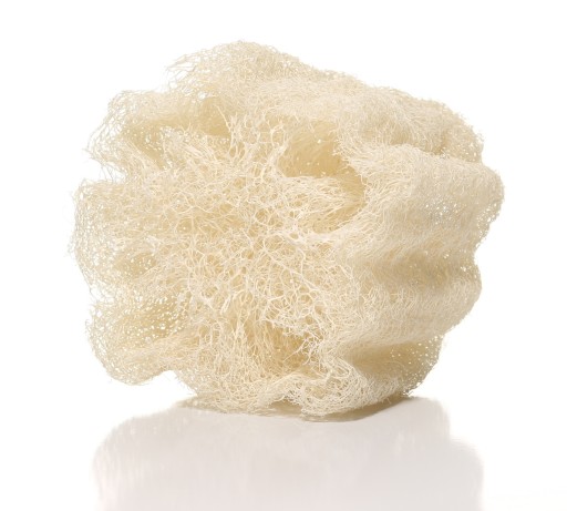 NATURALNA GĄBKA LUFFA PEELINGUJĄCA LOOFAH 12 cm