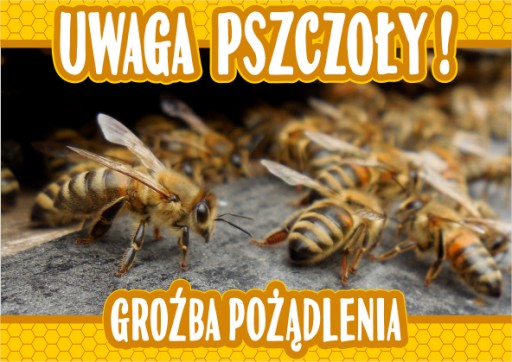 TABLICA OSTRZEGAWCZA uwaga pszczoły ~ 29,5 x 42 cm