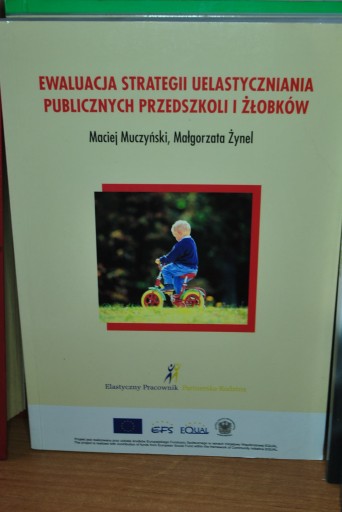 Ewaluacja strategii uelastycznienia publicznych