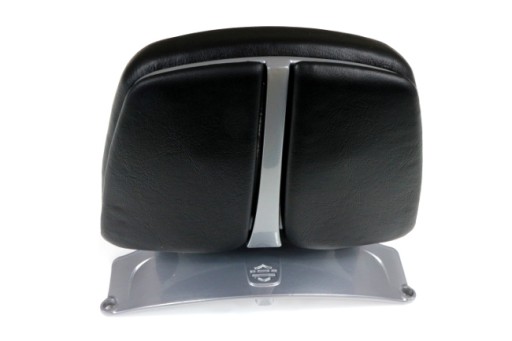 HARLEY NIGHT ROD ANNIVERSARY EDITION 2012 - СПИНКА