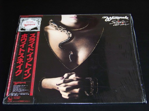 Zdjęcie oferty: WHITESNACK / Slide It In / JAPAN