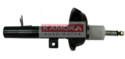 SIDE MEMBER FRONT GAS 2000134 KAMOKA photo 16 - milautoparts-fr.ukrlive.com