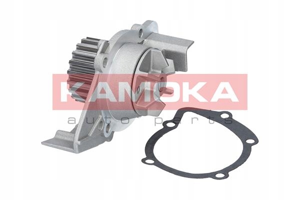 POMPE EAUX KAMOKA POUR PEUGEOT DE CHARGEMENT photo 2 - milautoparts-fr.ukrlive.com