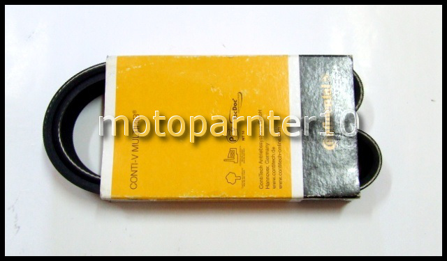 BELT WEDGE NISSAN PRIMERA ALMERA II PREVIA 00 - photo 1 - milautoparts-fr.ukrlive.com