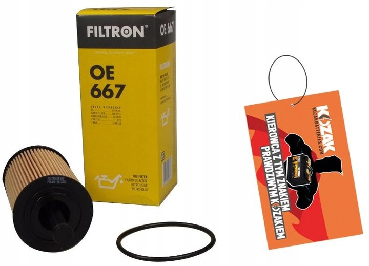 FILTRON OE667 FILTER OILS WITH 667 photo 13 - milautoparts-fr.ukrlive.com