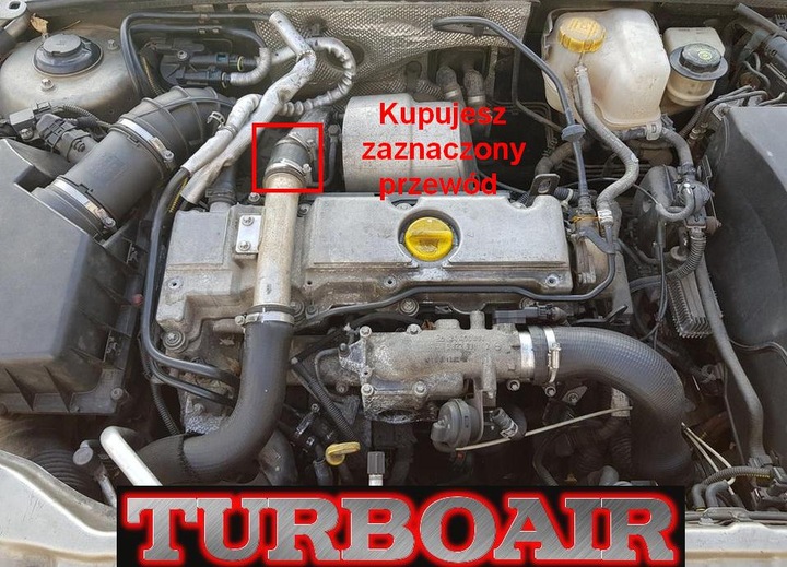 фото №3, Труба шланг turbo интеркулер opel vectra c 2,0 dti