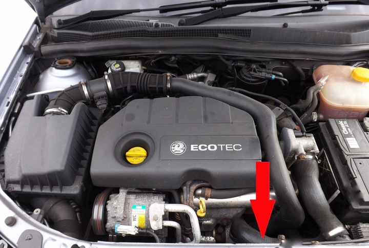 1.7 cdti. Двигатель Opel Astra h 1.7 CDTI. Opel Astra 1.7 CDTI охлаждающая жидкость.