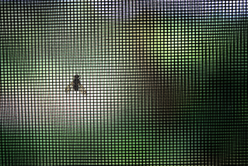 фото №9, Шторки skoda rapid spaceback 2012- захист шторка сонцезахисні